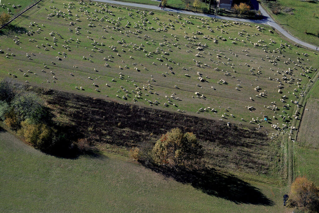 Tracce del lavoro dell’uomo nei campi delle colline biellesi