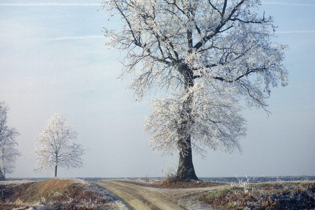 INVERNO - Foto Archivio Bini - Simonetti